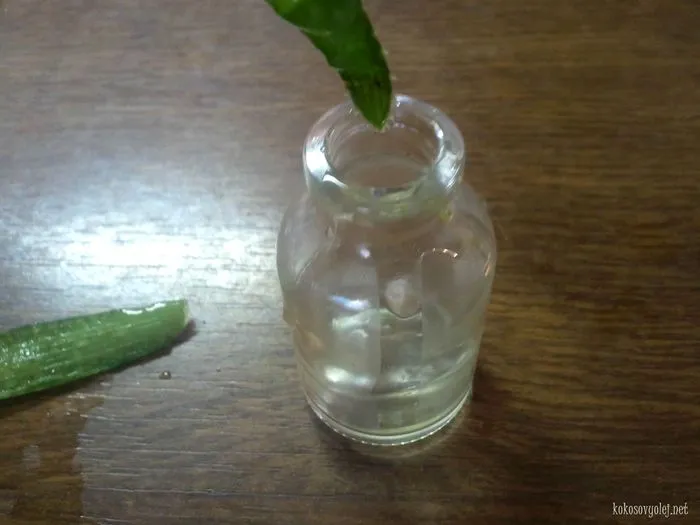 aloe vera gél