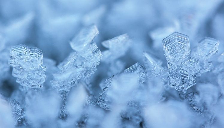 co sposobuje zrnitost kokosoveho oleja